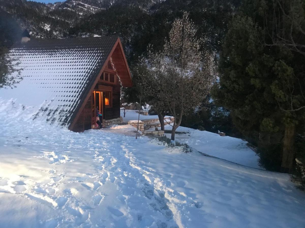 Chalet In The Forest Kalavryta Bagian luar foto