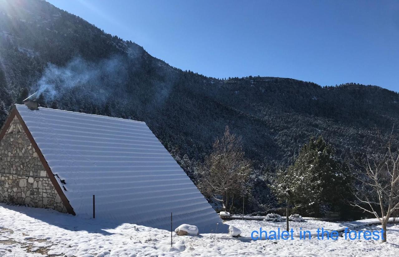 Chalet In The Forest Kalavryta Bagian luar foto