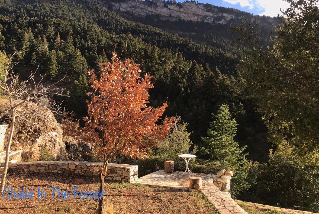 Chalet In The Forest Kalavryta Bagian luar foto