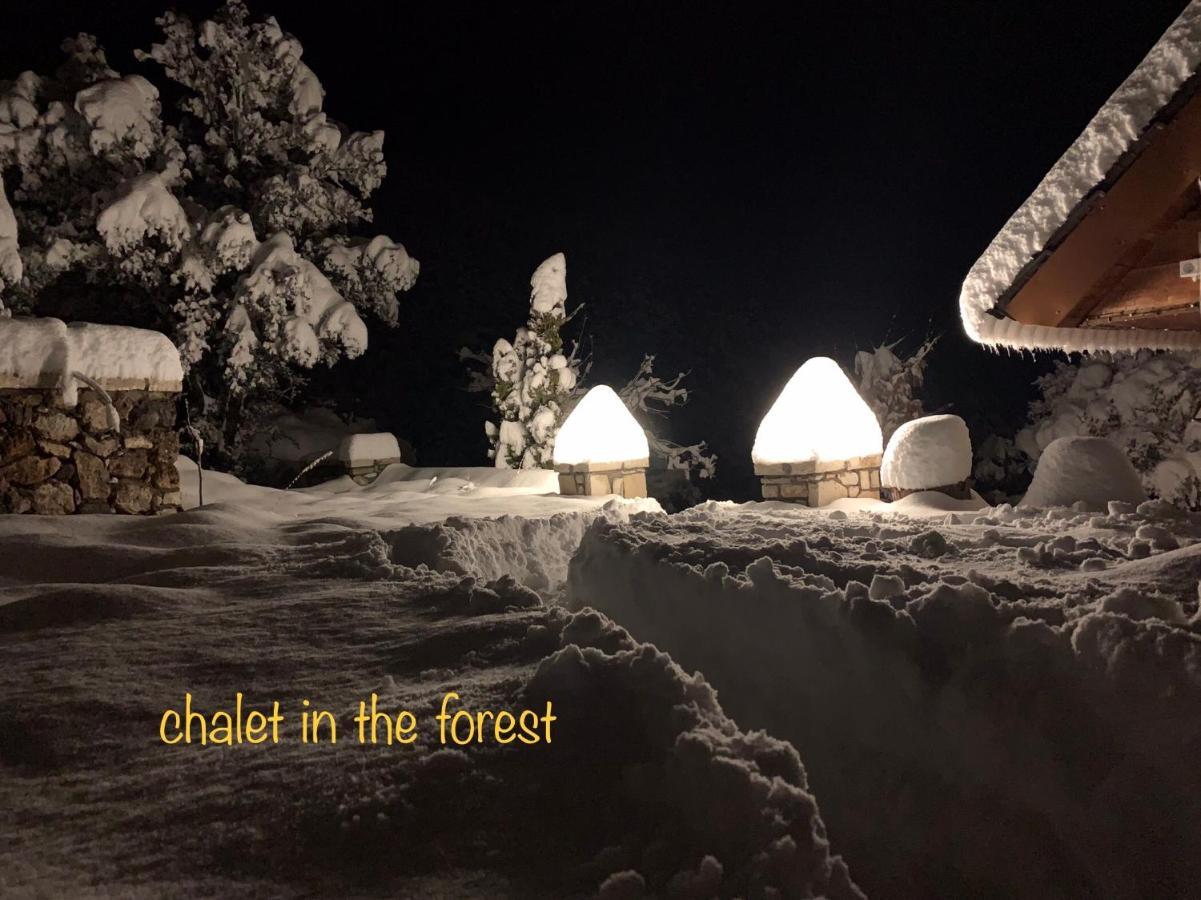 Chalet In The Forest Kalavryta Bagian luar foto