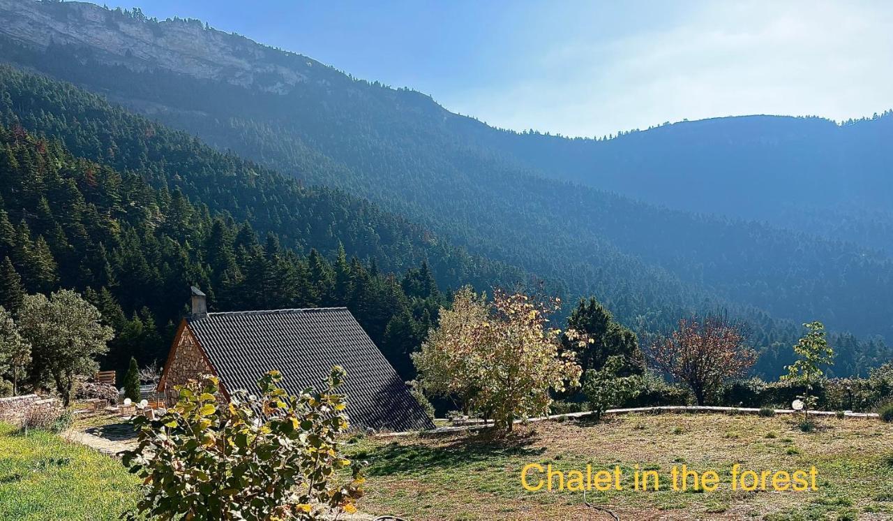Chalet In The Forest Kalavryta Bagian luar foto