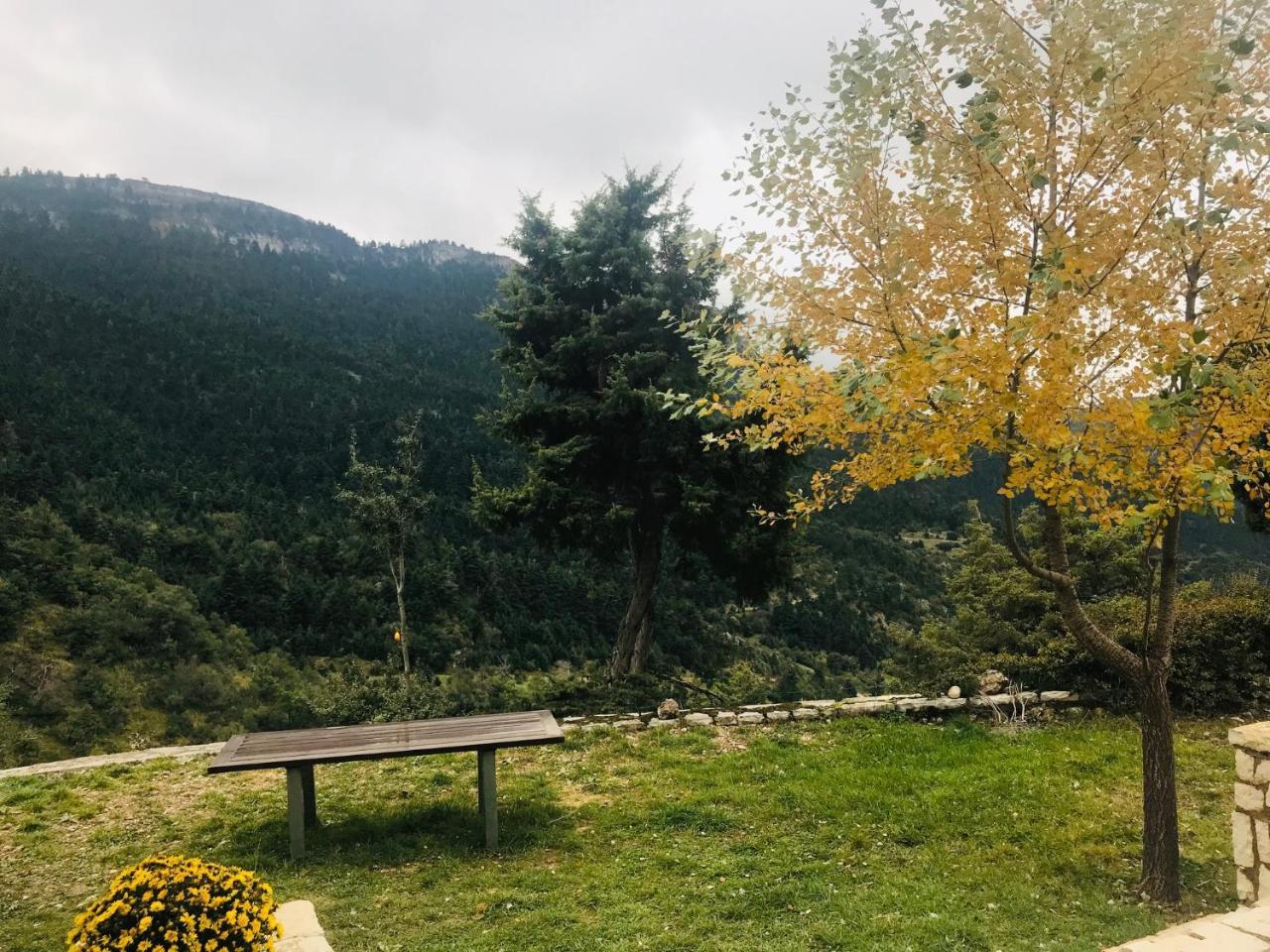 Chalet In The Forest Kalavryta Bagian luar foto