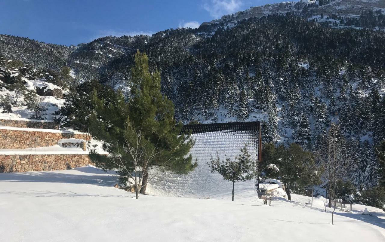 Chalet In The Forest Kalavryta Bagian luar foto