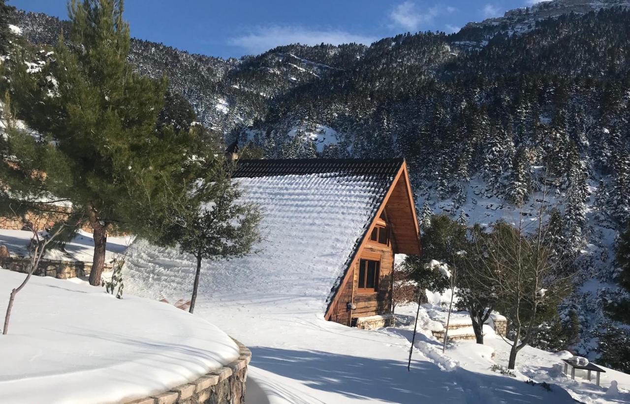 Chalet In The Forest Kalavryta Bagian luar foto