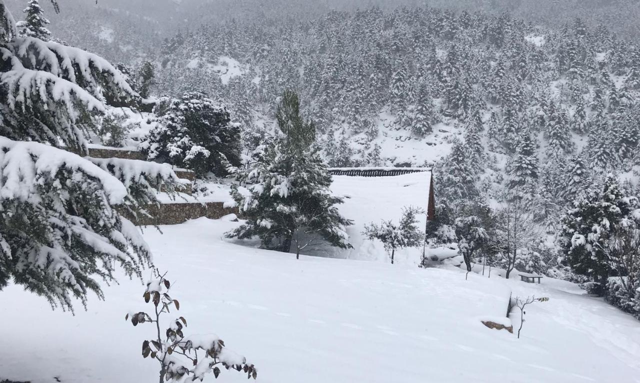 Chalet In The Forest Kalavryta Bagian luar foto