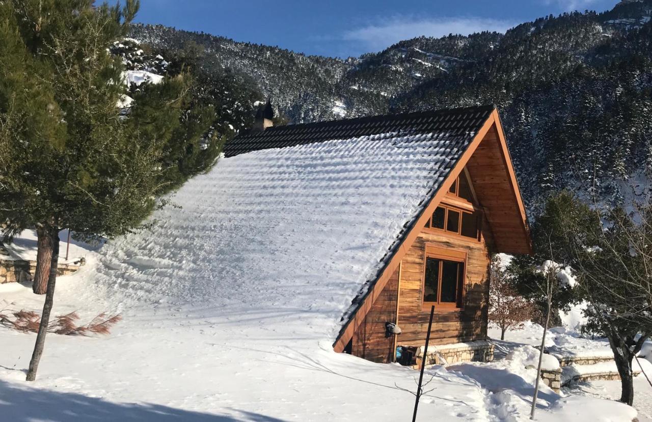 Chalet In The Forest Kalavryta Bagian luar foto